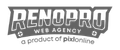 Renopro Web Agency